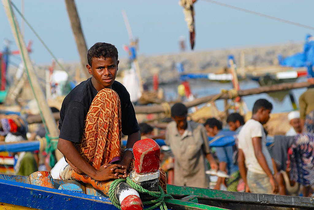 Yemeni fishermen bring their catch off boats at a beach in the Red Sea coast in the Khokha district of Yemen's western province of Hodeida, September 2006