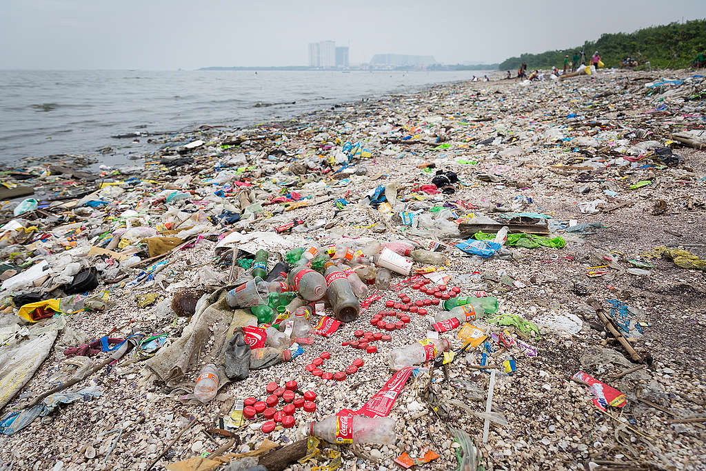 Freedom Island Waste Clean-up and Brand Audit in the Philippines. © Daniel Müller / Greenpeace