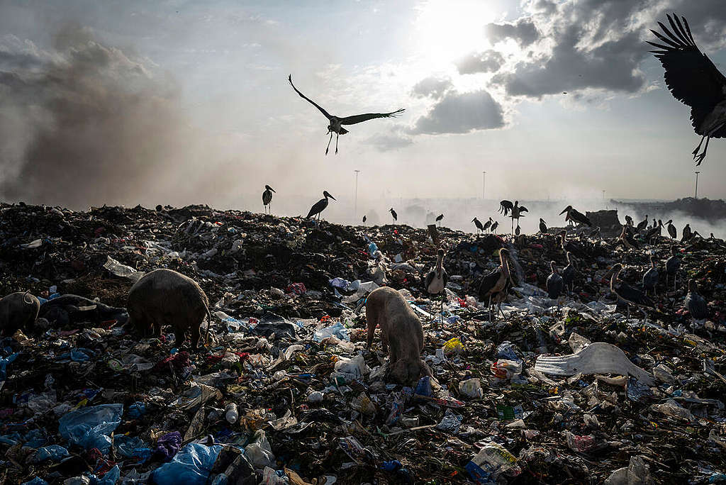 Fast Fashion Research in Kenya. © Kevin McElvaney / Greenpeace