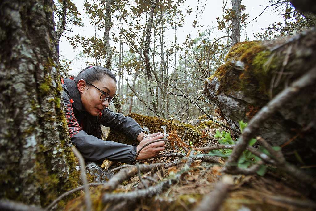 A girl with long hair and glasses laying on the ground with a camera in her hand, in a forest