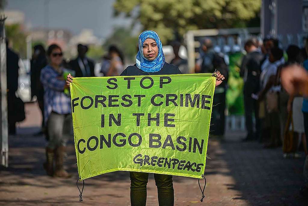 Protest at World Forestry Congress in Durban. © Mujahid Safodien / Greenpeace Protest at World Forestry Congress in Durban. © Mujahid Safodien / Greenpeace