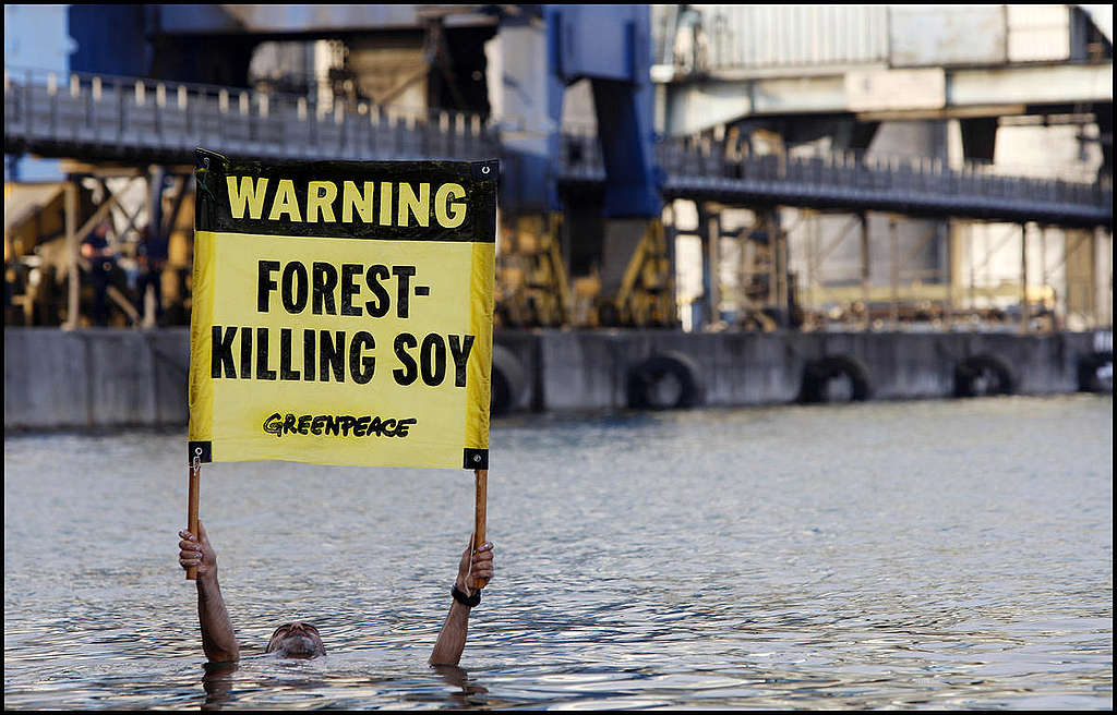 Blockade of Soy Cargo Ship in France. © Nicolas Chauveau / Greenpeace