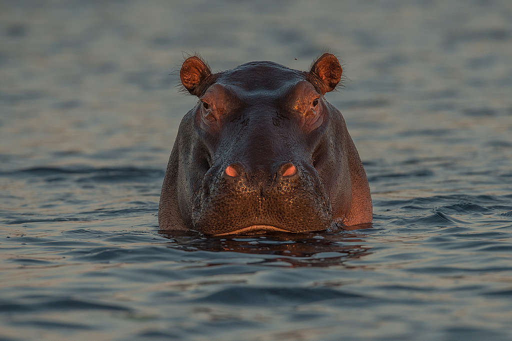 Landscapes and Wildlife in southern Africa. © Markus Mauthe / Greenpeace