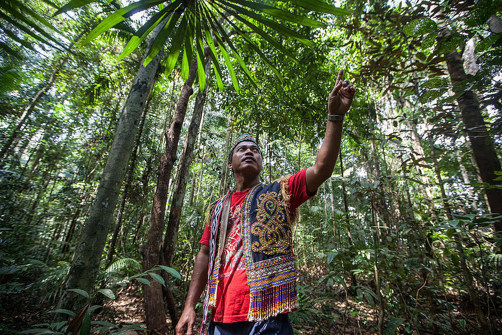 Head of Dayak Tribe inside Terikang Customary Forest in Gunam village, West Kalimantan. © Afriadi Hikmal / Greenpeace