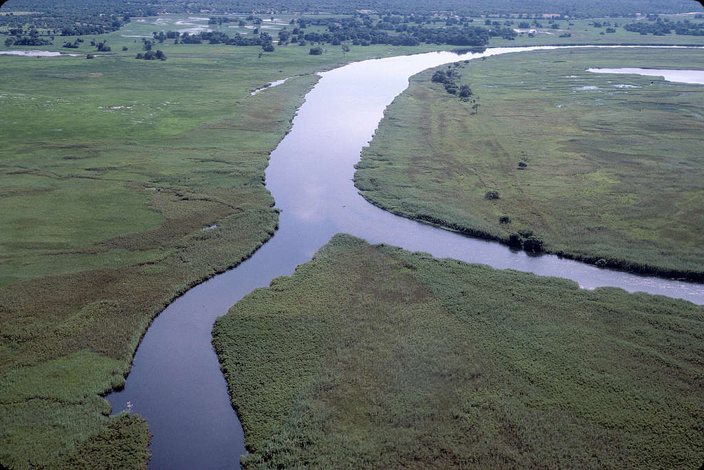 Okavango River and Floodplain. © Greenpeace / Tony Marriner