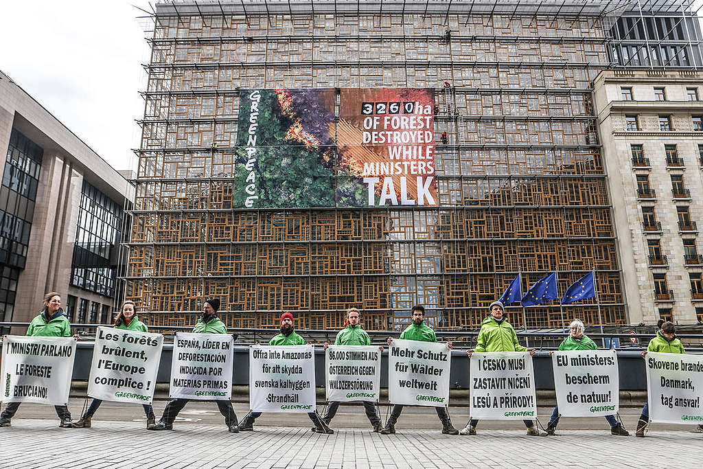 Deforestation Rate Action at EU Council HQ in Brussels. © Johanna de Tessières / Greenpeace