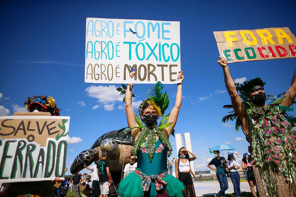 Action against Environmental Destruction Projects at National Congress in Brasilia. © Adriano Machado / Greenpeace