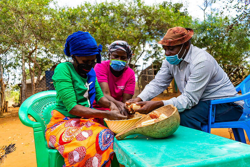 Ecological Farming in Kenya. © Greenpeace / Paul Basweti