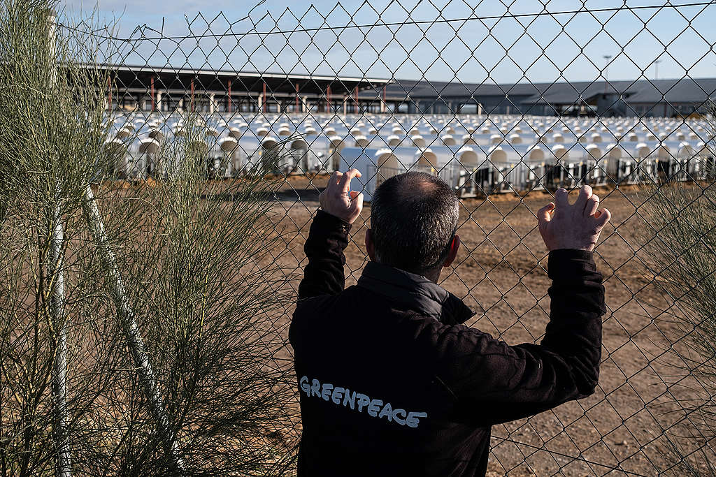 Picture showing Luis Ferrerim, Head of Agriculture at Greenpeace Spain, in front of the Valle de Odieta factory farm in Caparroso, Navarra, Spain.
