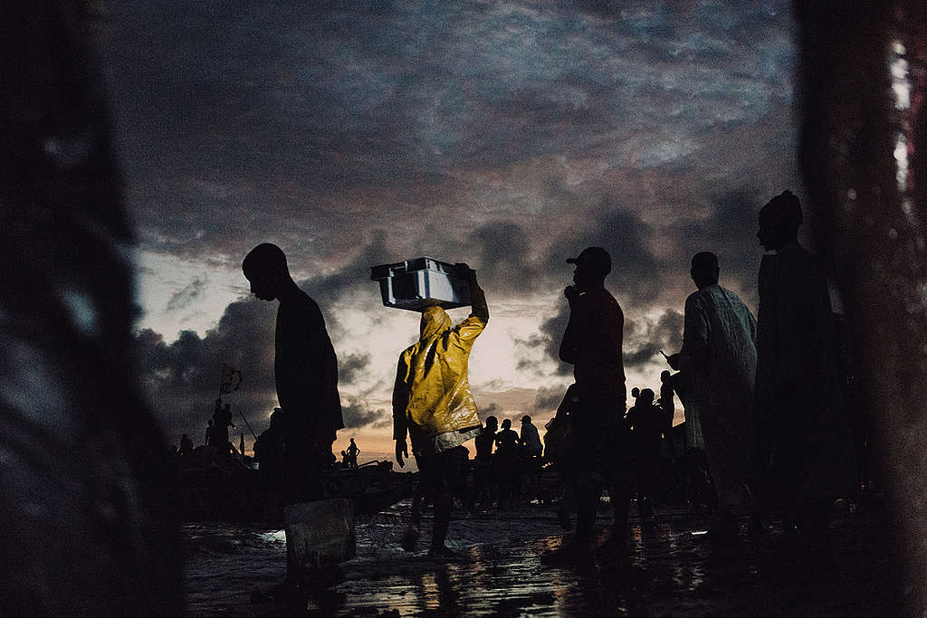 West African Small-scale Local Fishermen in Senegal. © Liu Yuyang / Greenpeace West African Small-scale Local Fishermen in Senegal. © Liu Yuyang / Greenpeace