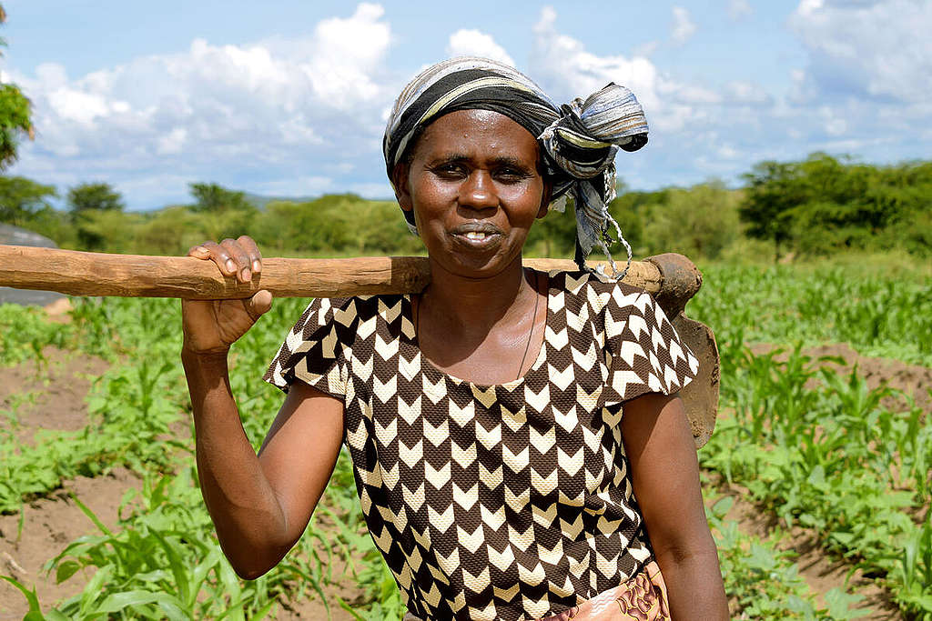 Smiling black woman in graphic brown and white patterned dress and stripy headscarf, ecological farmer Stella Muthama in Kenya, looks at the camera with her ploughing tool over her shoulder and crops in the background.