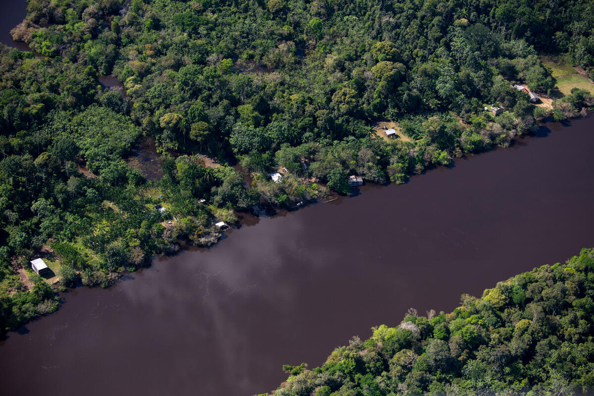 Manicoré River in the Amazon in Brazil. © Christian Braga / Greenpeace