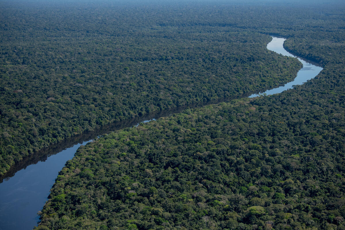 Manicoré River in the Amazon in Brazil. © Christian Braga / Greenpeace