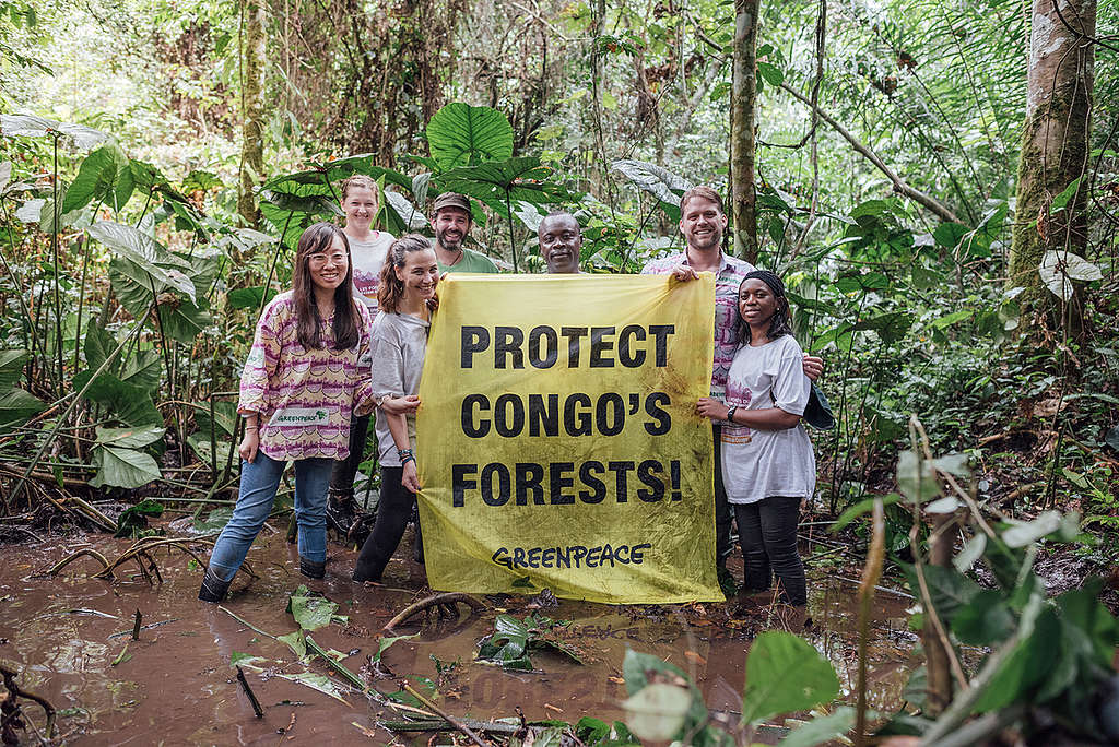 Banner in the Forest in Democratic Republic of Congo. © Kevin McElvaney / Greenpeace