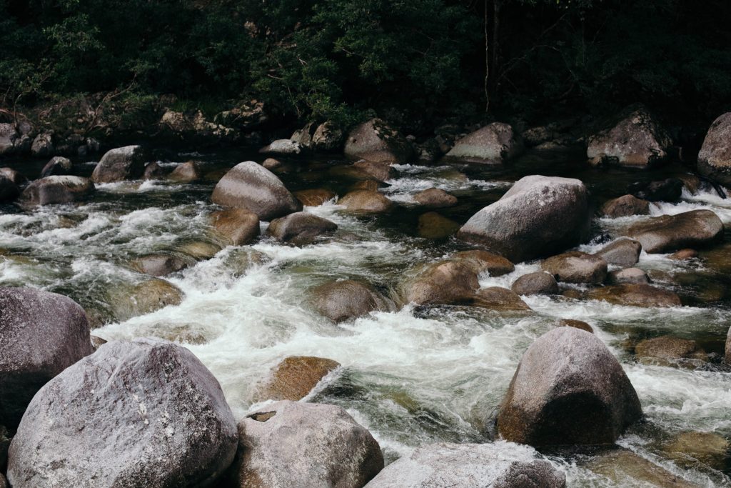 The Daintree River, Queensland.