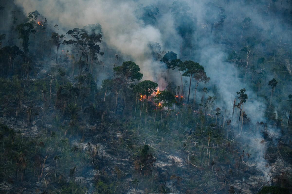 Aerial photo of fires in the Amazon rainforest