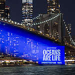 Greenpeace USA activists project scenes of beauty and fragility onto New York’s iconic Brooklyn Bridge.
