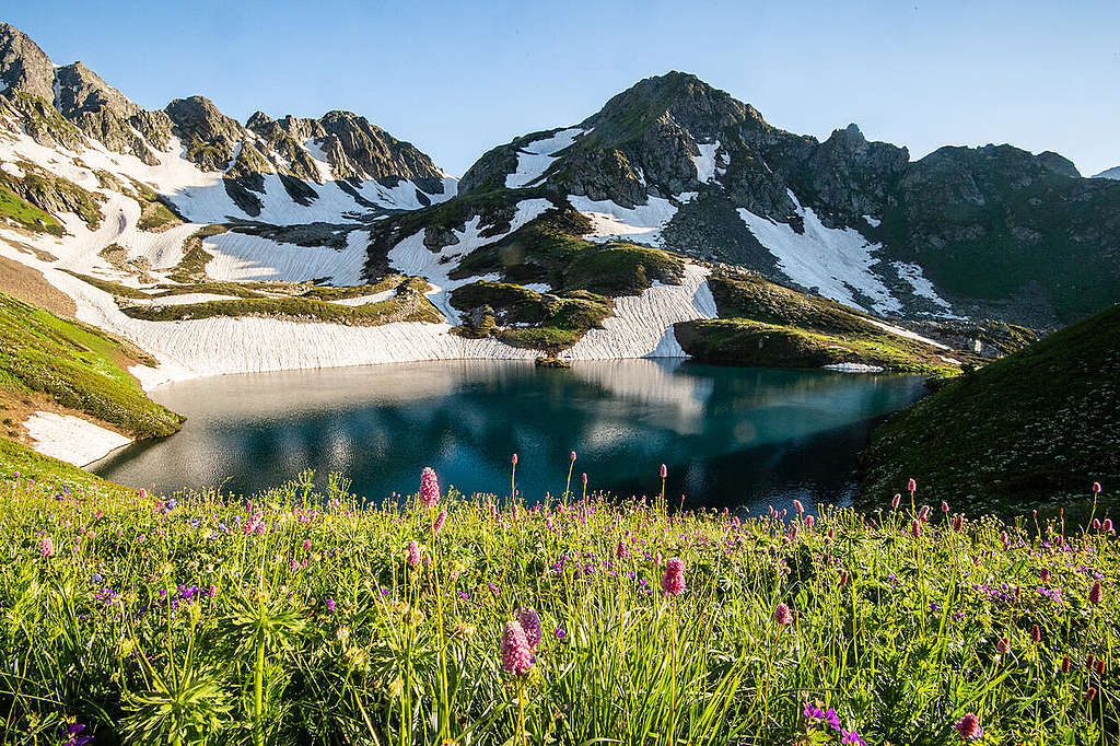 Sochi National Park