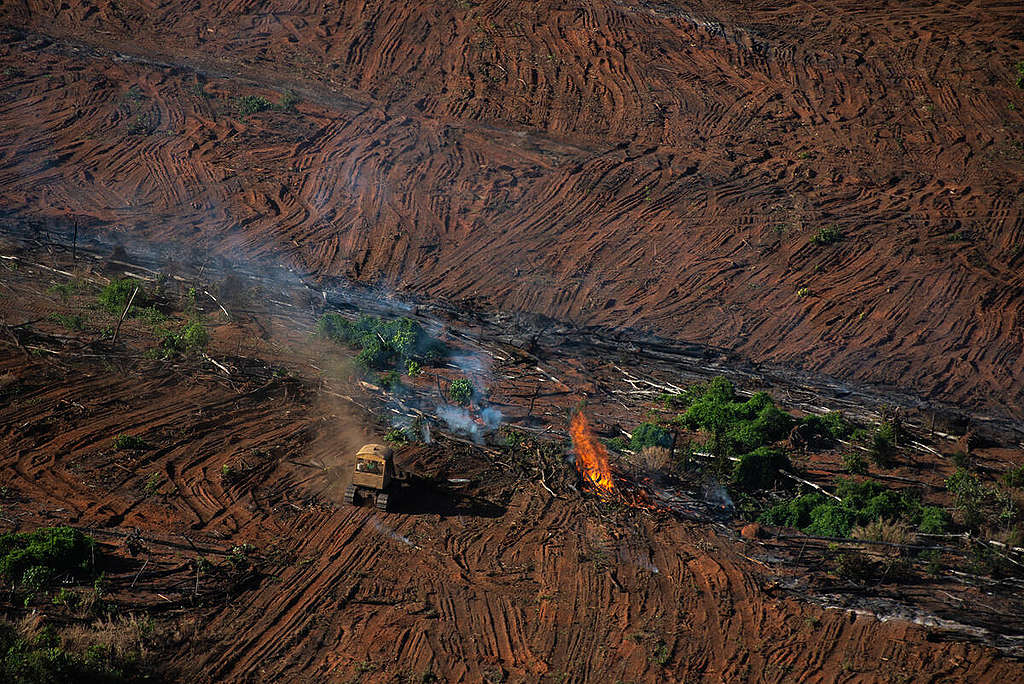 Deforestation and Fire Monitoring in the Amazon in July, 2020