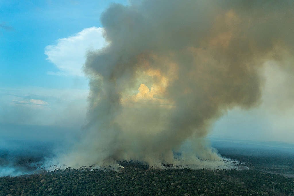 Forest Fire in the Amazon.