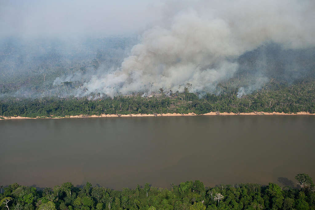 Fire and Deforestation in the Amacro Region in the Amazon in Brazil.