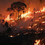 Photo of fires in the Amazon rainforest © Nilmar Lage / Greenpeace