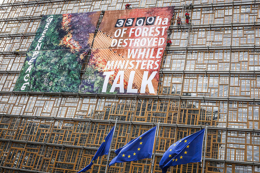 Deforestation Rate Action at EU Council HQ in Brussels. Deforestation Rate Action at EU Council HQ in Brussels.