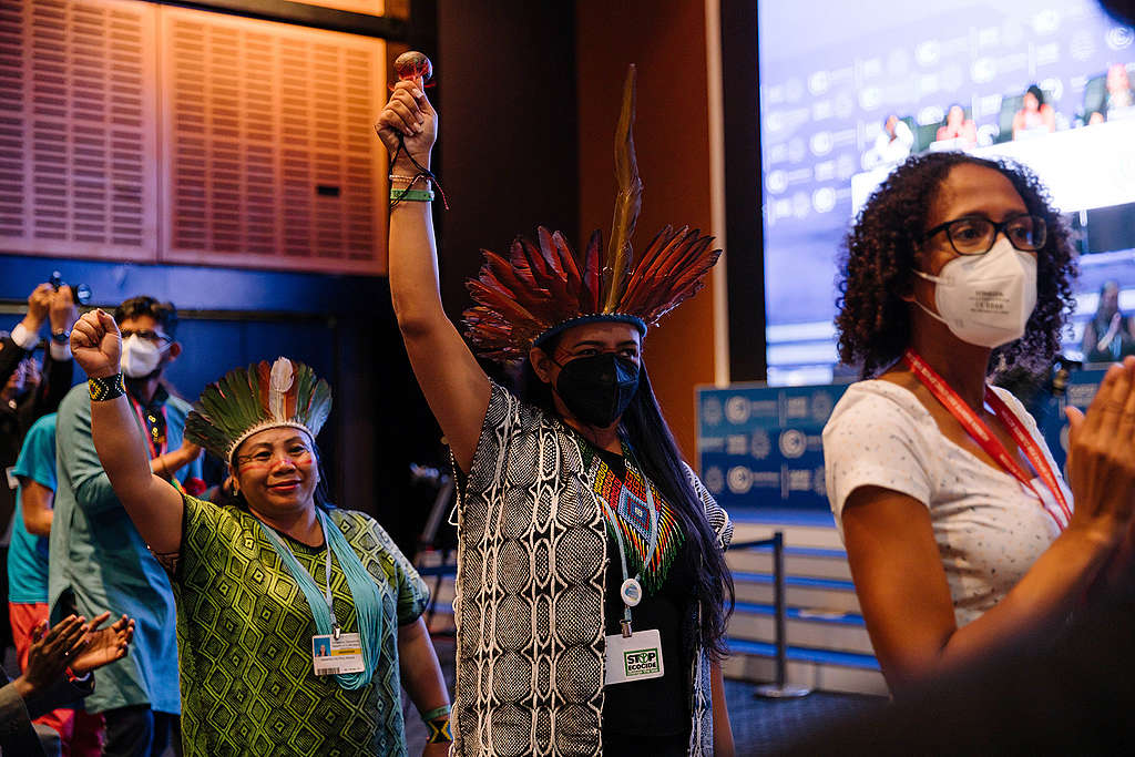 Asamblea plenaria popular de la COP 27 