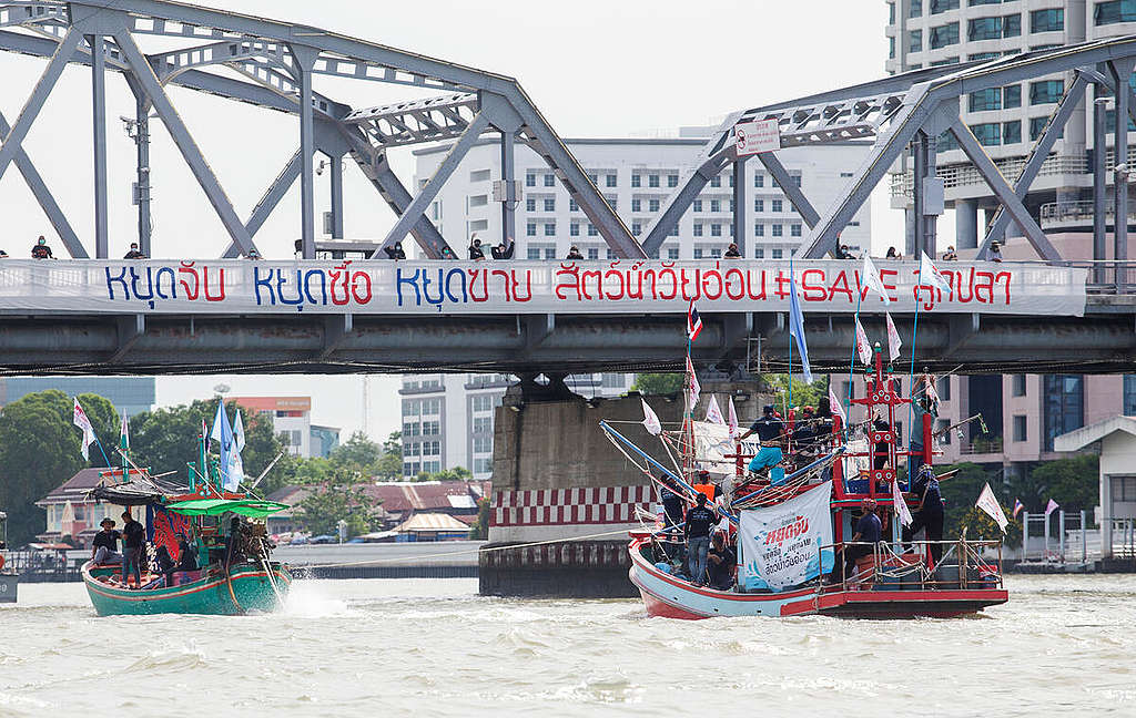 World Oceans Day 2022 in Thailand. On the bridge, the banner says: "Stop catch, stop buying, stop selling juvenile fishes".