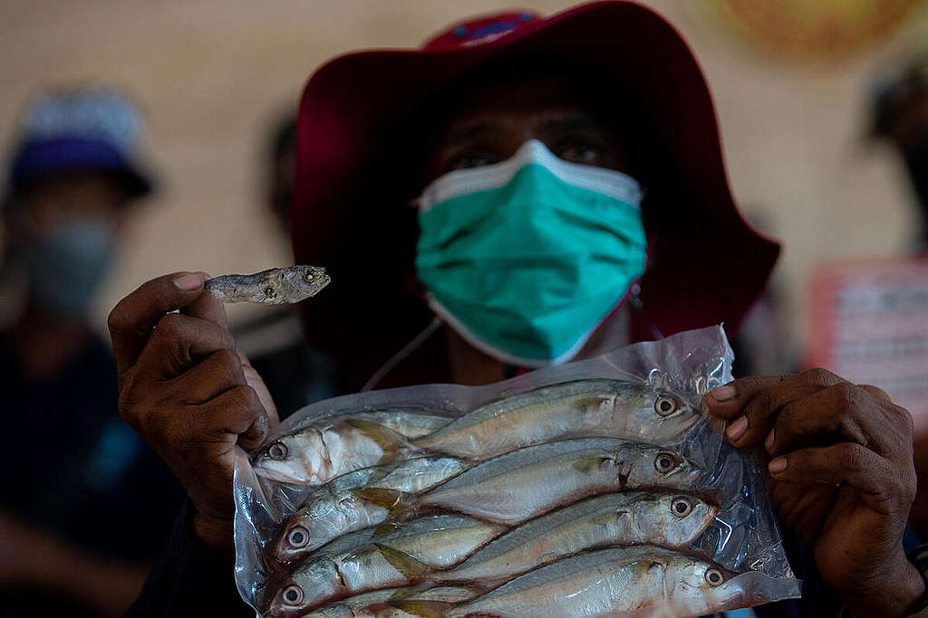 World Oceans Day 2022 in Thailand. Thai mackerel today is not as abundant and cheap as before. An activist holds up an example of the Thai mackerel juvenile fish. © Chanklang Kanthong / Greenpeace
