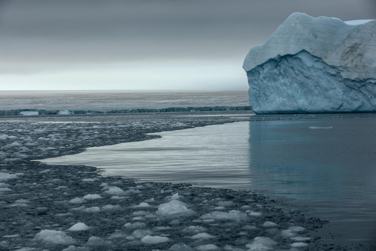 Iceberg in Antarctica.