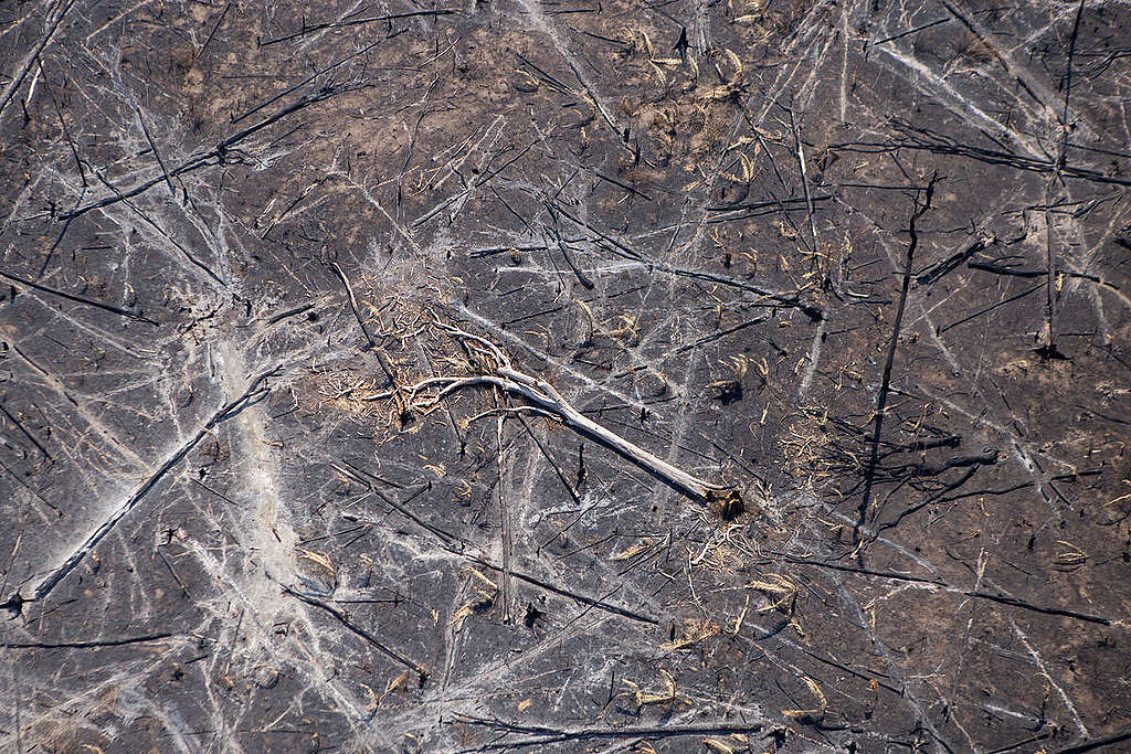 Fire and Deforestation in Porto Velho in the Amazon in Brazil. © Nilmar Lage / Greenpeace