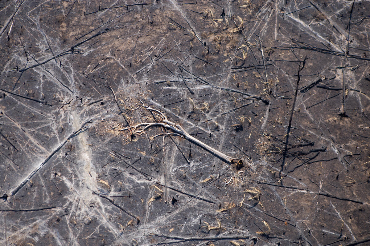 Fire and Deforestation in Porto Velho in the Amazon in Brazil. © Nilmar Lage / Greenpeace