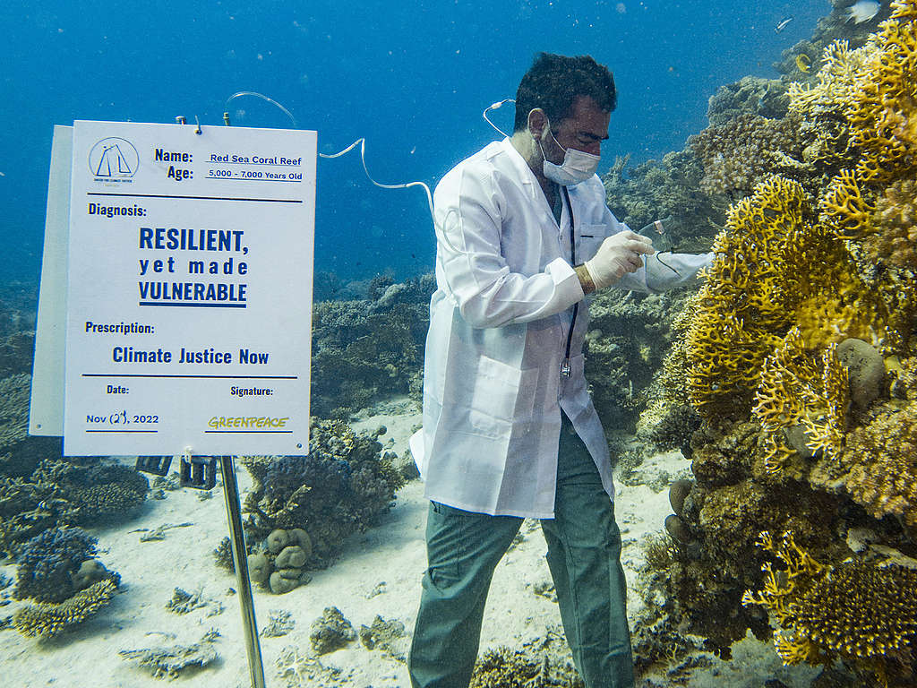 Diagnosis of Coral Reef in the Red Sea off the coast of Egypt