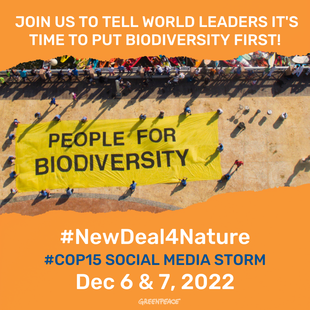 3 demands we’re making for biodiversity at COP15 - Greenpeace International