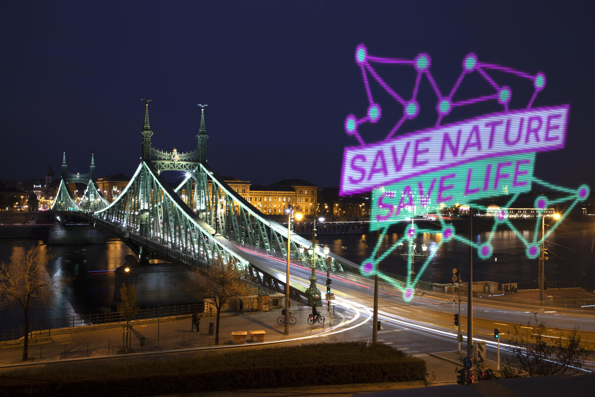 Save Nature - Save Life Action in Hungary.