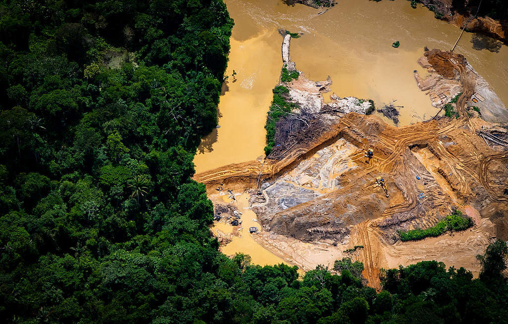 Illegal Road and Machinery in the Yanomami Indigenous Land in the Amazon