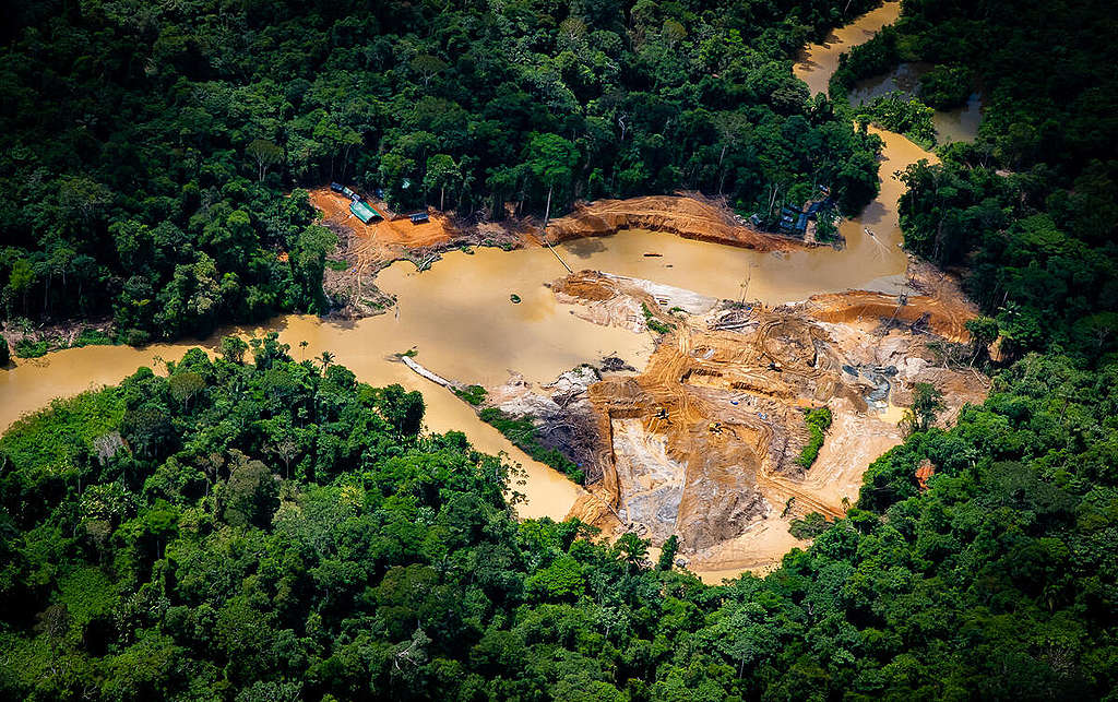 Illegal Road and Machinery in the Yanomami Indigenous Land in the Amazon. © Valentina Ricardo