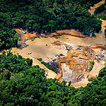 Illegal Road and Machinery in the Yanomami Indigenous Land in the Amazon.
