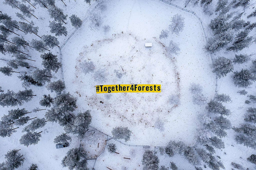 Protests are happening across Europe to stop deforestation. Several organizations, as part of the #Together4Forests coalition, call on EU and EU ministers to improve the EU-law to prevent deforestation. In Sweden, the demonstration is held in Muonio Sameby in Pajala municipality, a Sami village that is strongly affected by deforestation through intensive forestry. © Jason White / Greenpeace