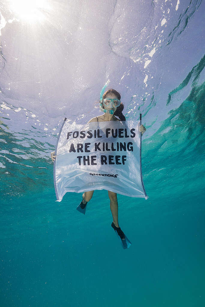 Bessie Byrne, Greenpeace Australia Pacific campaigner snorkeling with a sign on the great barrier reef. © Greenpeace / Grumpy Turtle / Harriet Spark © Greenpeace / Grumpy Turtle / Harriet Spark