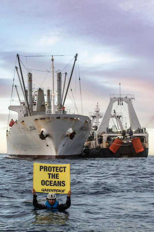 Greenpeace activists aboard the Arctic Sunrise documented and reported transshipment on the high seas, which facilitates illegal, unregulated or unreported fishing. From the water and with the message: "Protect the Argentine Sea", they exposed the practices carried out by these fishing boats 400km from the Valdés Peninsula, an area known as the Blue Hole, on the edge of Argentina's exclusive economic zone. The Arctic Sunrise ship has been carrying out research and monitoring of overfishing in the Blue Hole for several weeks, as part of its campaign to protect the Argentine Sea. © Martin Katz / Greenpeace