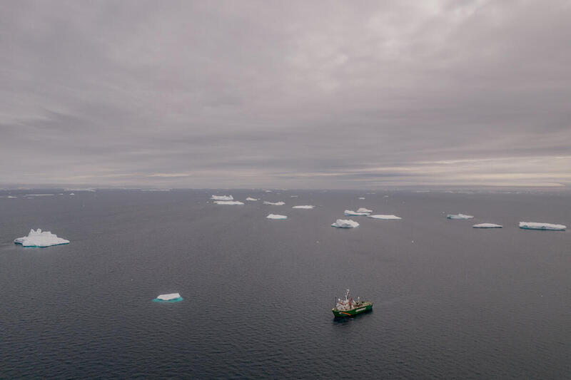 The Greenpeace ship Arctic Sunrise has returned to the Antarctic Peninsula with a team of independent scientists from Stony Brook University, to conduct ground breaking research on remote penguin colonies, many of which have never before been surveyed. To investigate the impacts of the climate crisis on Antarctic penguin populations. © Tomás Munita / Greenpeace