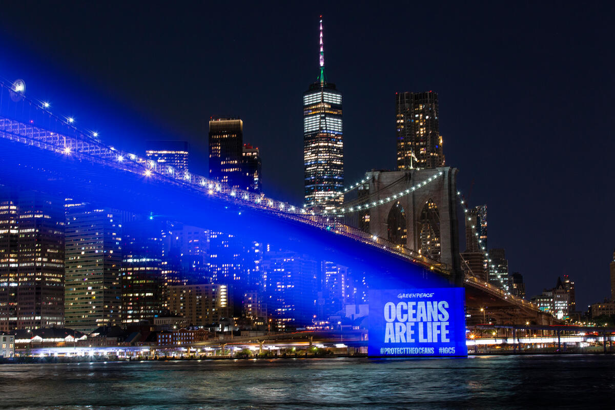 Protect the Oceans Projection onto Brooklyn Bridge. ©  POW / Greenpeace