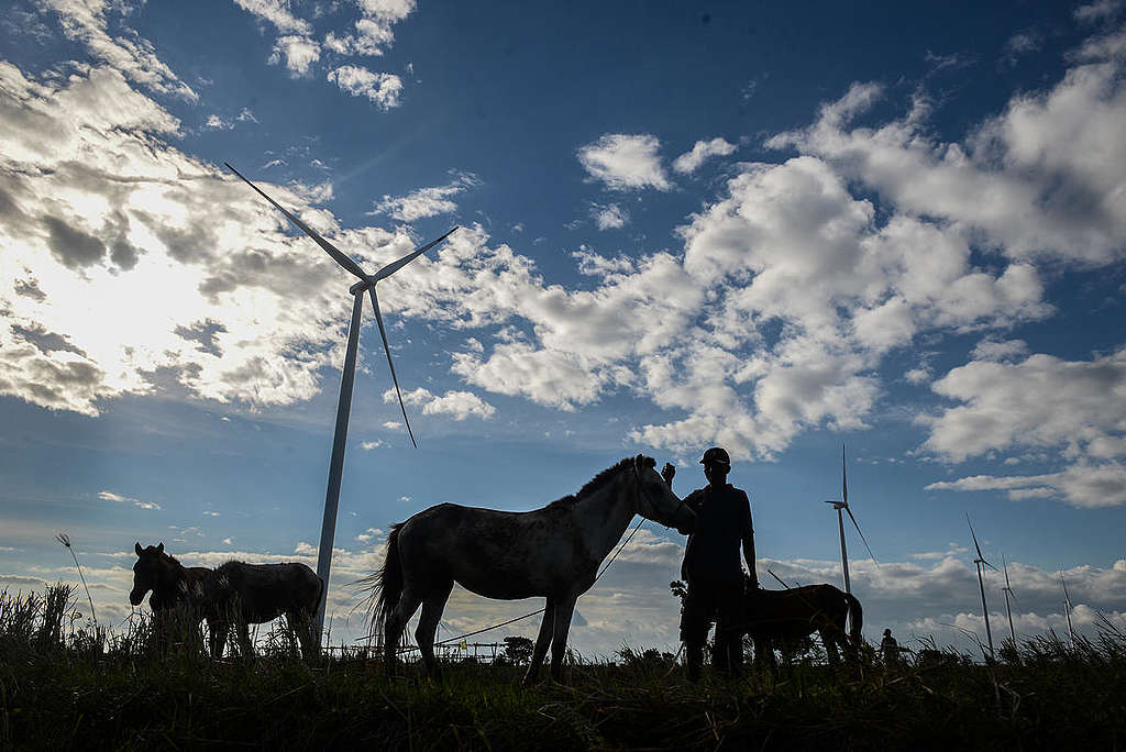 Jeneponto Wind Power Plant in Sulawesi. © Muchtamir / Greenpeace