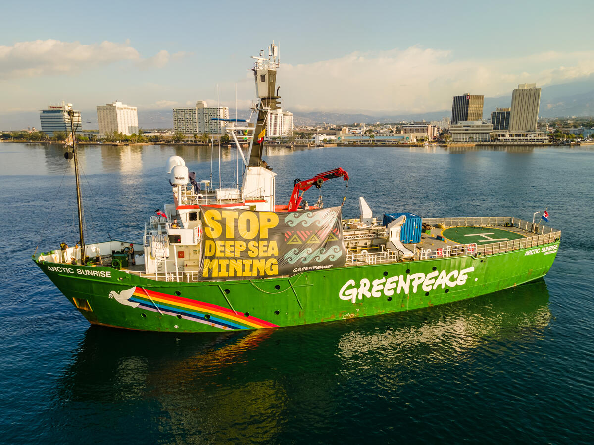 MY Arctic Sunrise Arrives in Kingston. © Gladstone Taylor / Greenpeace