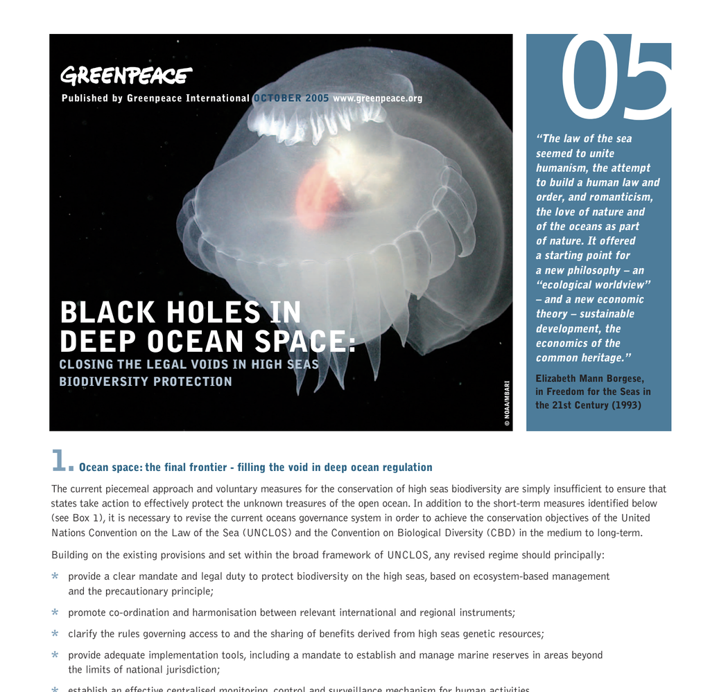 Screenshot of the cover of the 2005 Oceans briefing document.