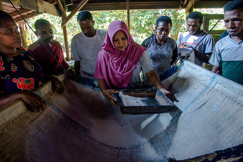 Sago Making Training for Papuans in Sungai Tohor. © Fully Syafi / Greenpeace