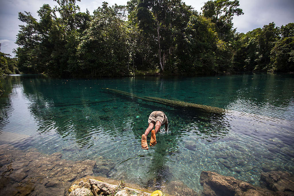 Blue River in South Sorong, West Papua. © Jurnasyanto Sukarno / Greenpeace Blue River in South Sorong, West Papua. © Jurnasyanto Sukarno / Greenpeace