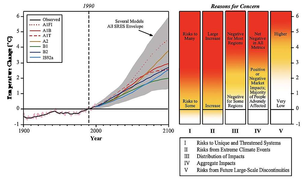 Graphic from 2001 showing five reasons for concern.